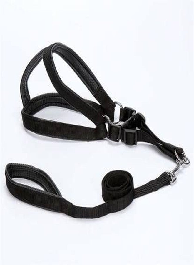 Pups&Pets Pet Nylon Soft Padded Adjustable Leash & Harness for Puppy and Medium Dogs Outdoor Training and Running Set (Black) - Image 1